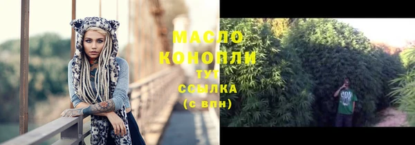 мдпв Долгопрудный
