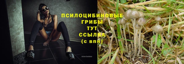 не бодяженный Домодедово