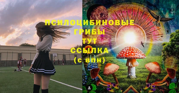 МДПВ Одинцово
